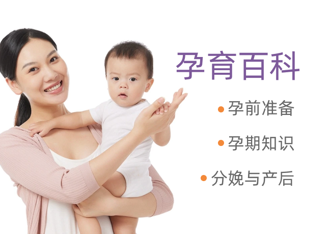 孕育百科