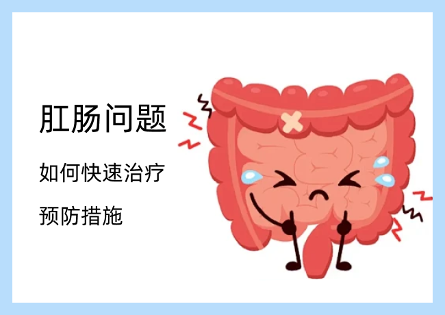 肛肠