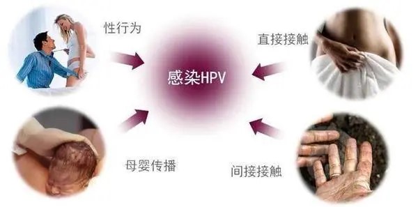 男性也会感染HPV?快来看看如何预防