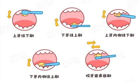 宝宝正确刷牙步骤